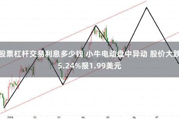 股票杠杆交易利息多少钱 小牛电动盘中异动 股价大跌5.24%报1.99美元