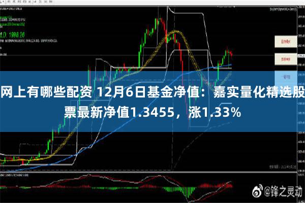 网上有哪些配资 12月6日基金净值：嘉实量化精选股票最新净值1.3455，涨1.33%