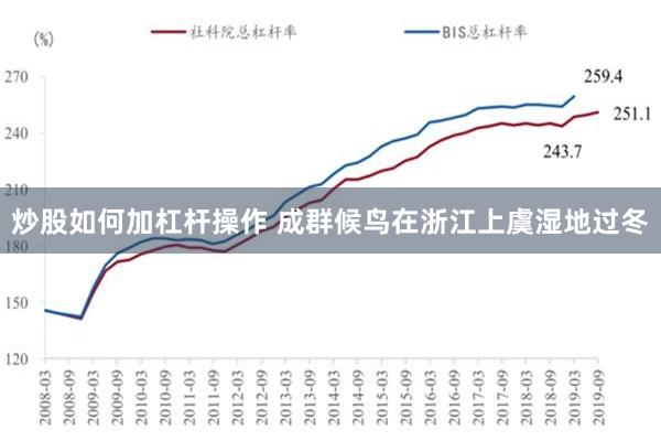 炒股如何加杠杆操作 成群候鸟在浙江上虞湿地过冬